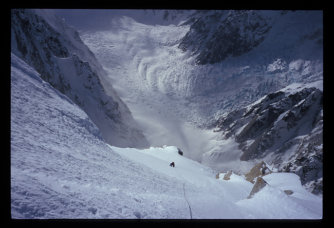 Jed on upper face.